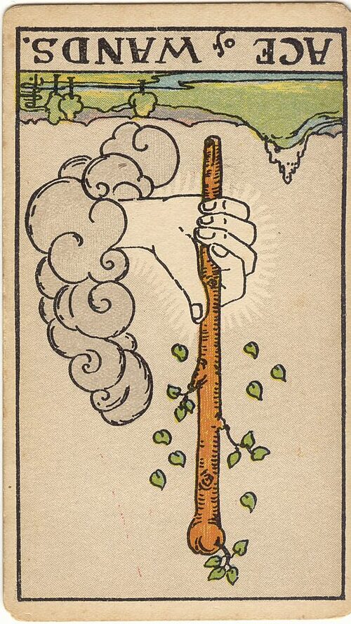 as de bastos tarot